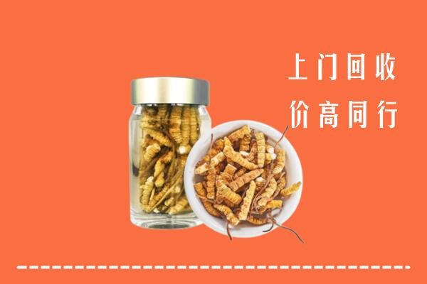 附近收购：海北回收冬虫夏草